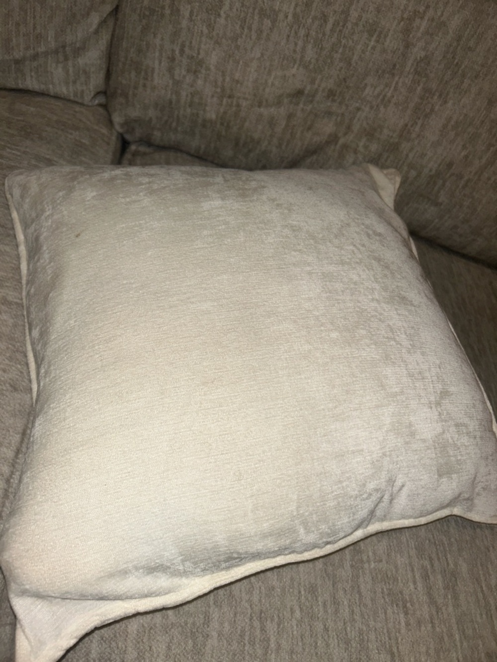 Velvety Cream Decorative Throw Pillow - Neutral Accent - Limited Edition